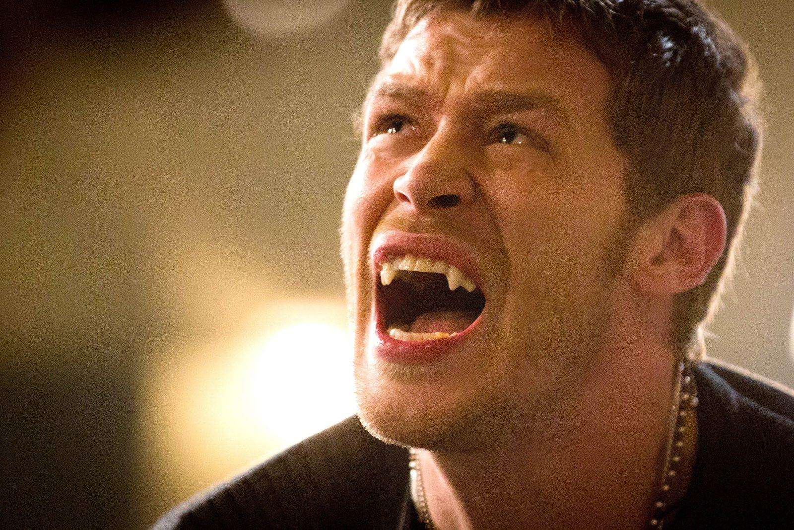 Produktbild The Originals -  Die komplette Staffel 1  [5 DVDs] 10 von 12