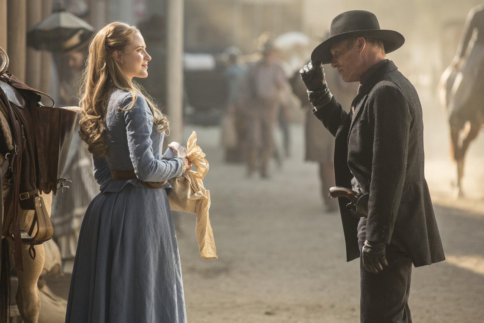 Produktbild Westworld - Die komplette 1. Staffel  [3 DVDs] 6 von 12
