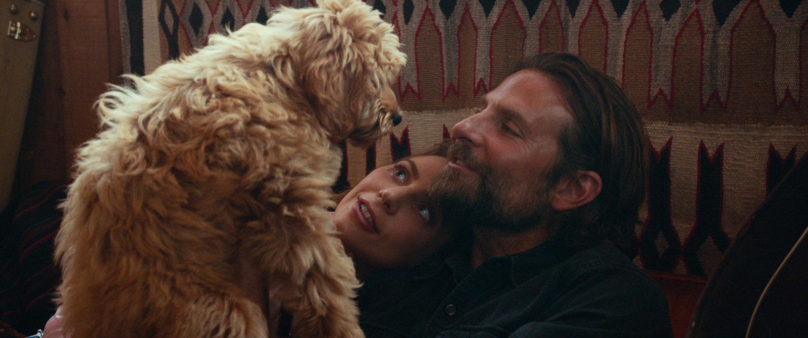 Produktbild A Star is Born 9 von 12
