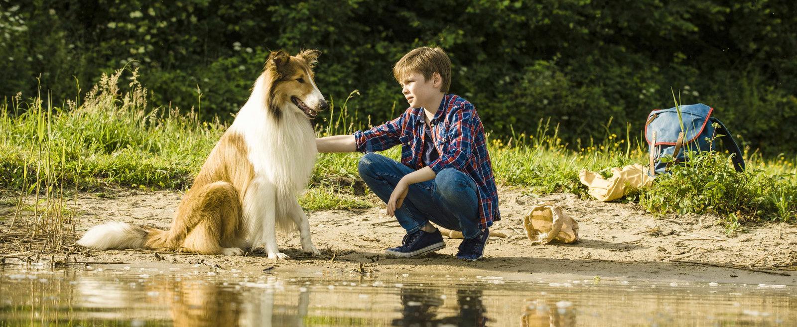 Produktbild Lassie - Eine abenteuerliche Reise 3 von 12