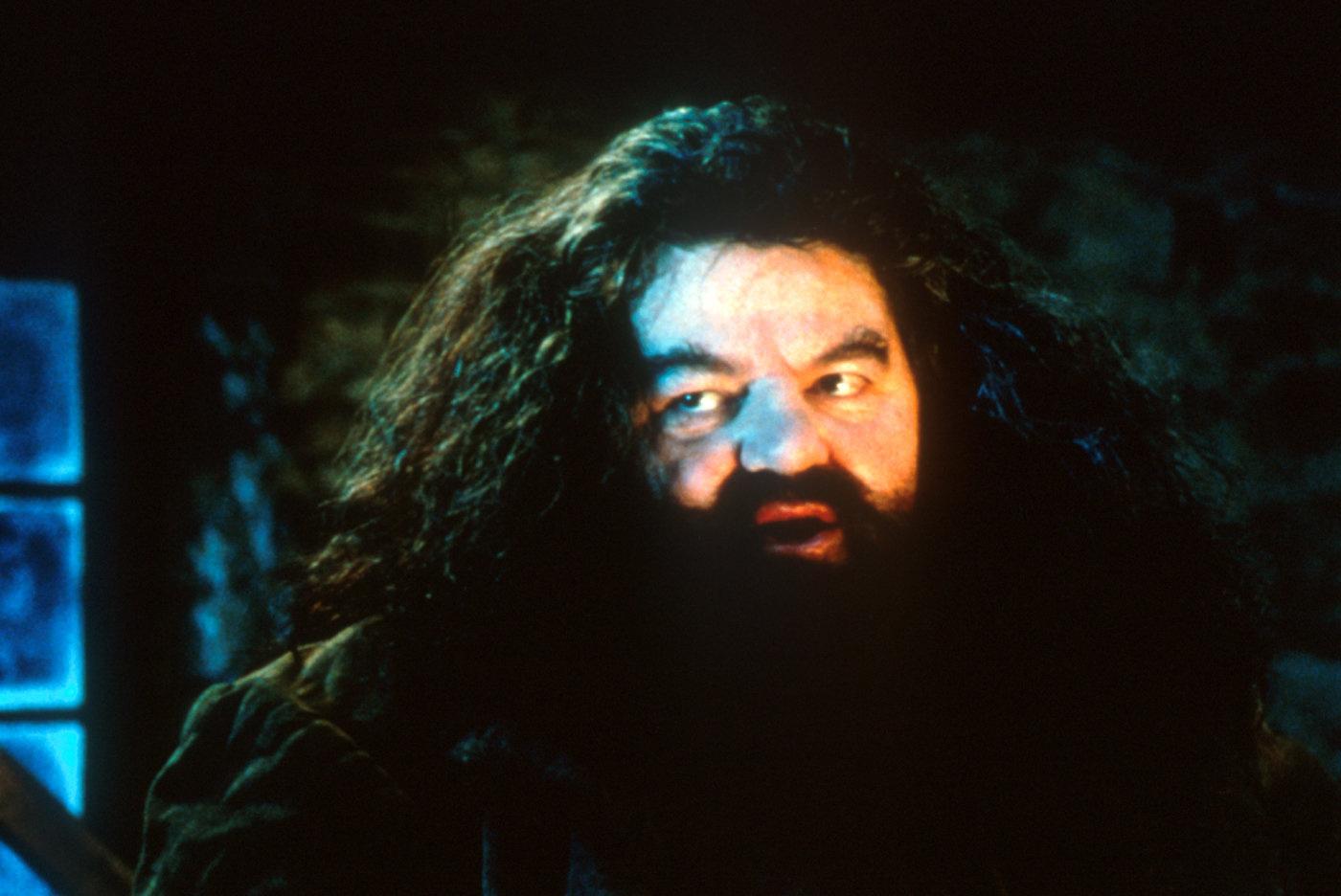 Produktbild Harry Potter und der Stein der Weisen - Jubiläums-Edition 20 Jahre Magische Momente - Magical Movie Mode[2 DVDs] 5 von 12