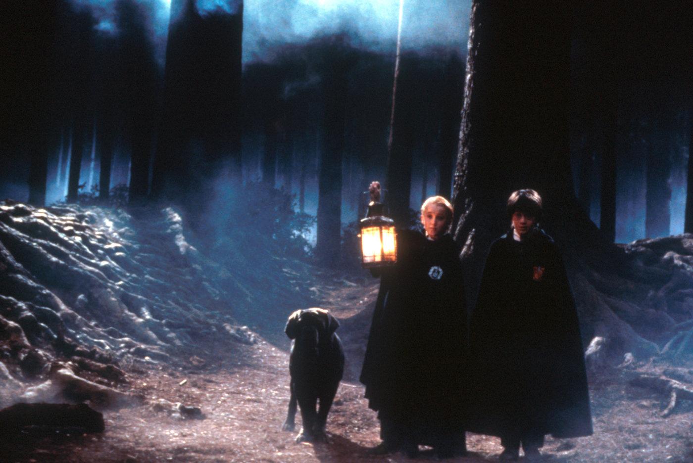 Produktbild Harry Potter und der Stein der Weisen - Jubiläums-Edition 20 Jahre Magische Momente - Magical Movie Mode[2 DVDs] 9 von 12
