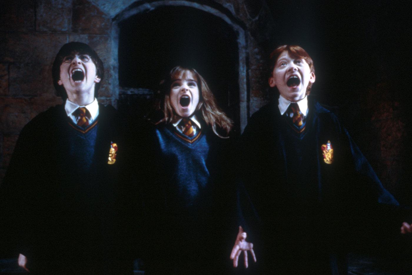 Produktbild Harry Potter und der Stein der Weisen - Jubiläums-Edition 20 Jahre Magische Momente - Magical Movie Mode[2 DVDs] 12 von 12
