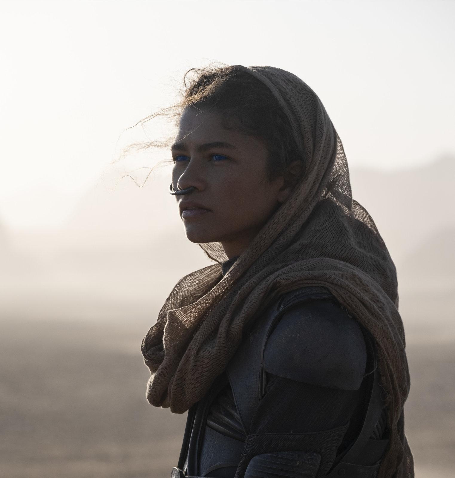 Produktbild Dune  (+ Blu-ray 2D) 10 von 12