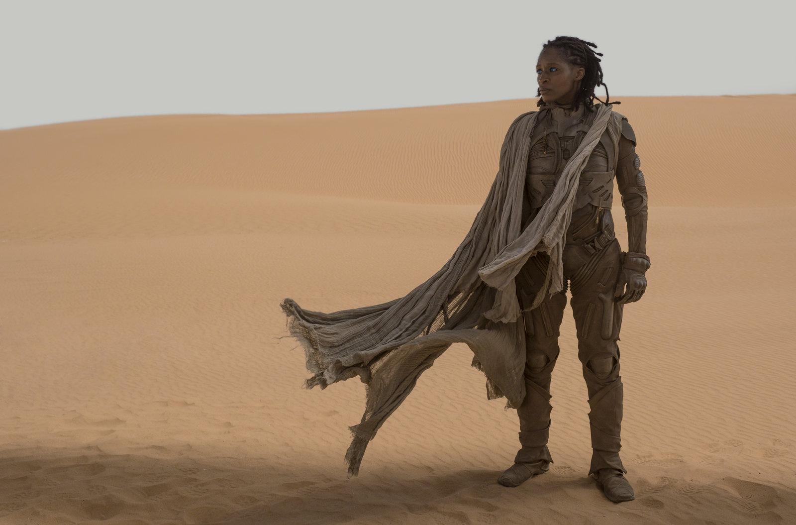 Produktbild Dune  (+ Blu-ray 2D) 11 von 12