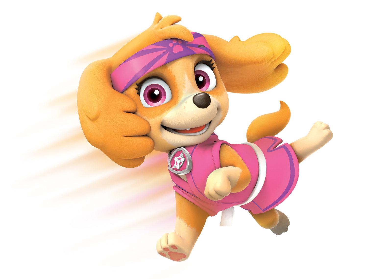 Produktbild Paw Patrol - Das Spiel kann losgehen 6 von 8