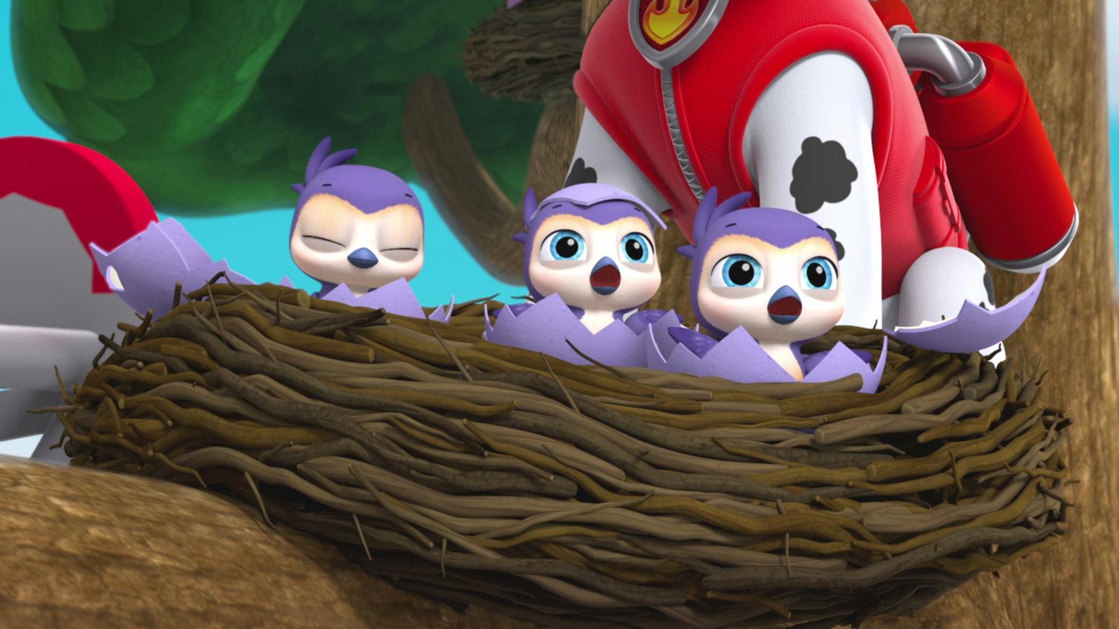Produktbild Paw Patrol - Ostern auf vier Pfoten 6 von 7
