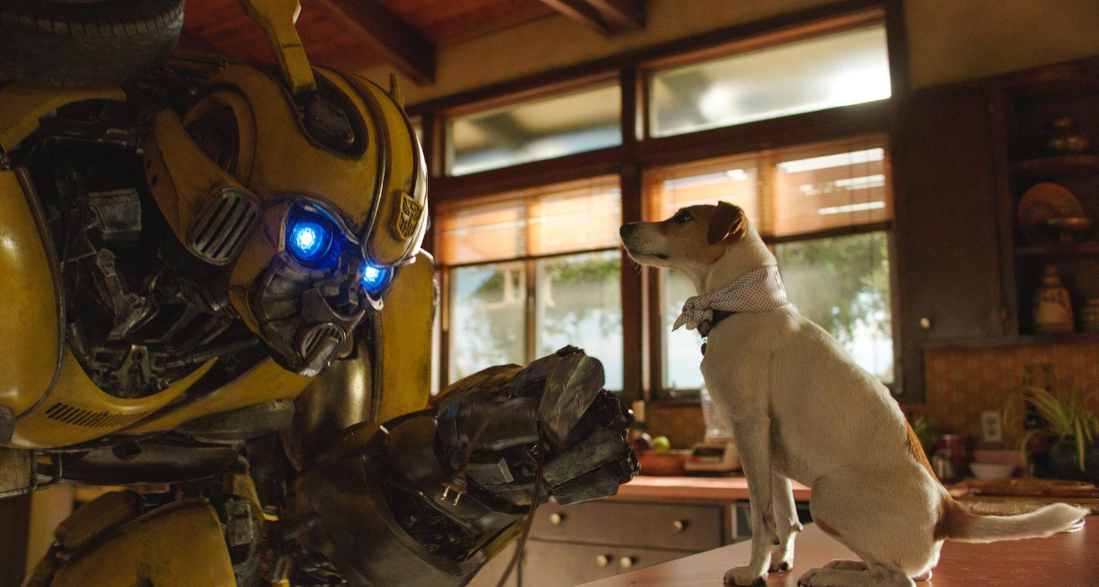 Produktbild Bumblebee 9 von 12