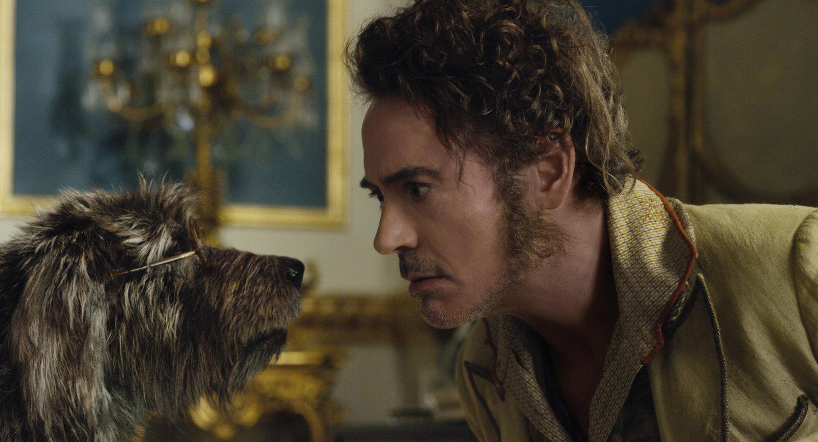 Produktbild Die fantastische Reise des Dr. Dolittle 6 von 12