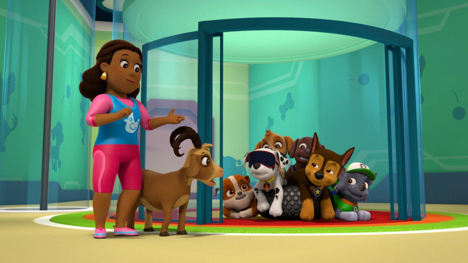 Produktbild Paw Patrol: Die Fellfreunde lösen ein Rätsel 3 von 8
