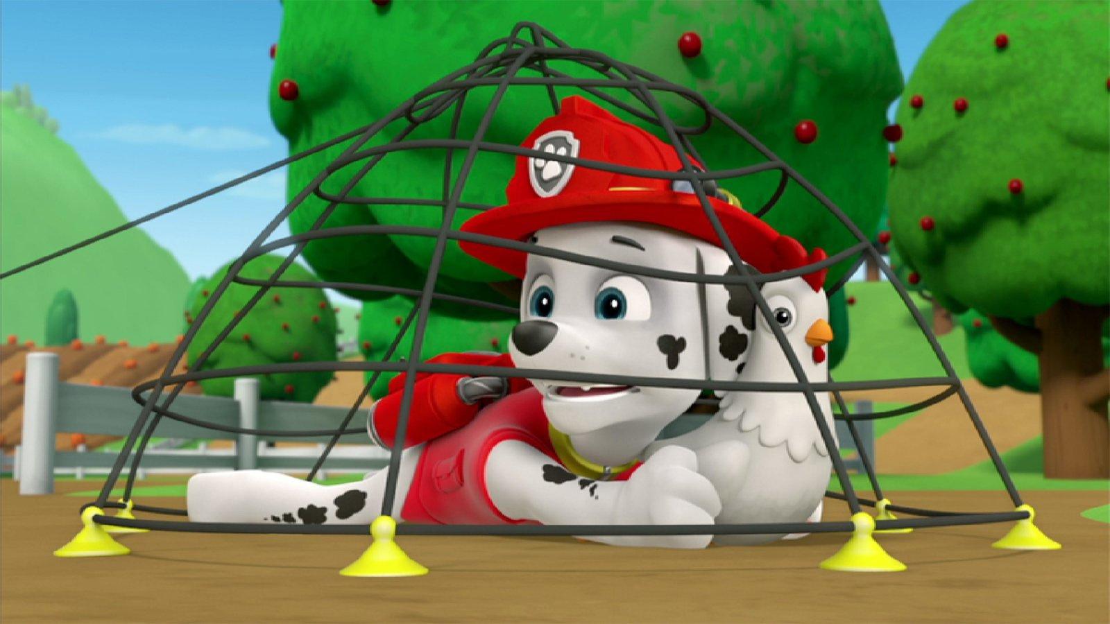 Produktbild Paw Patrol: Die Fellfreunde lösen ein Rätsel 7 von 8