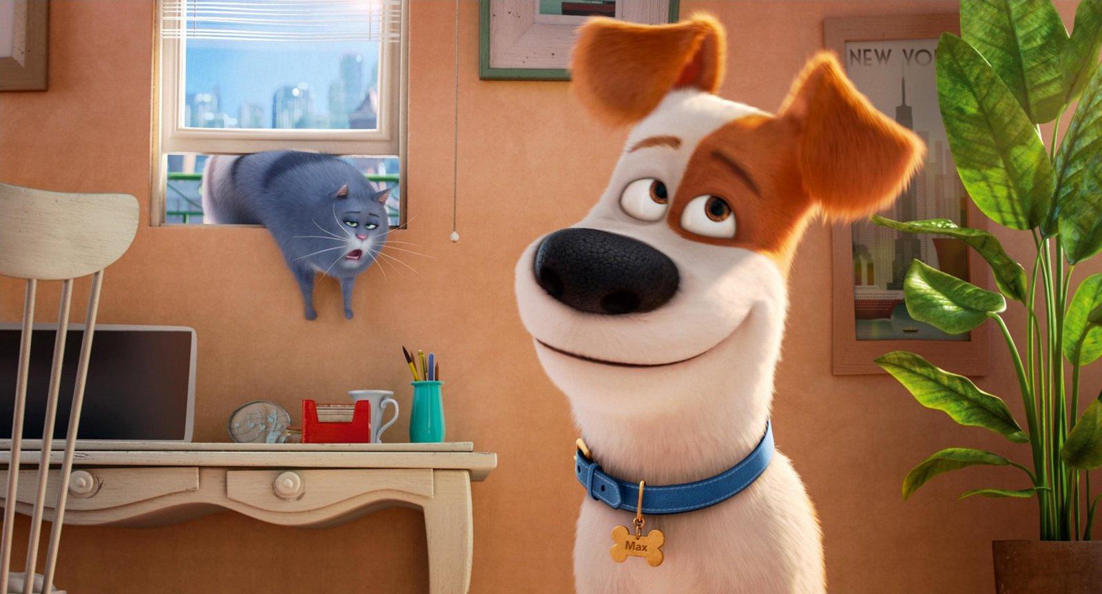 Produktbild Pets Doppelpack: Pets 1&Pets 2 [2 DVDs] 3 von 11