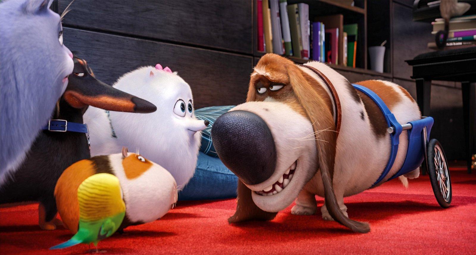 Produktbild Pets Doppelpack: Pets 1&Pets 2 [2 DVDs] 4 von 11