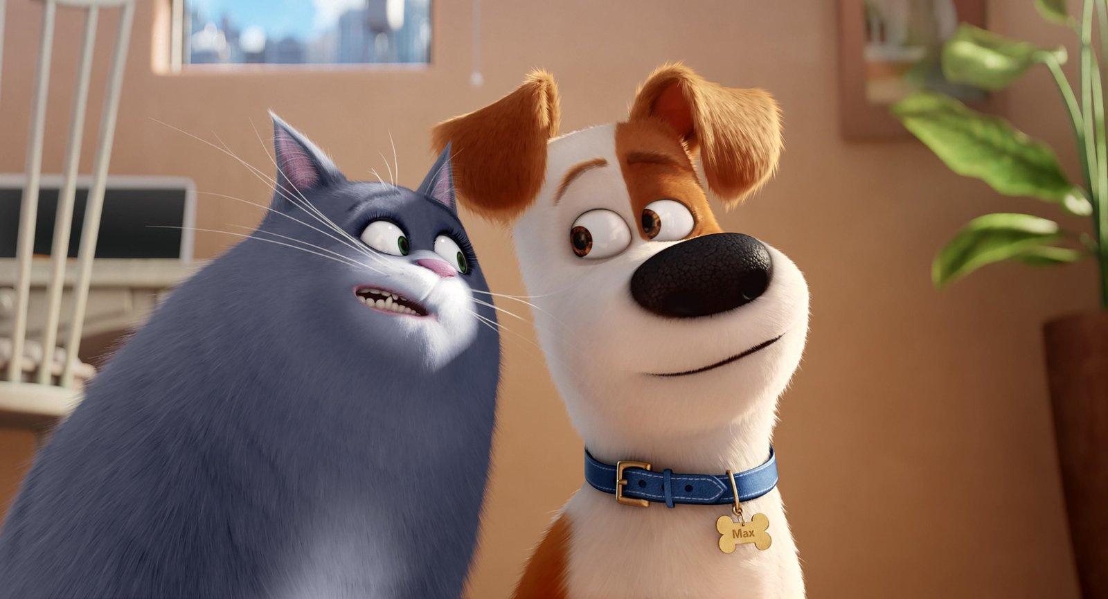 Produktbild Pets Doppelpack: Pets 1&Pets 2 [2 DVDs] 6 von 11
