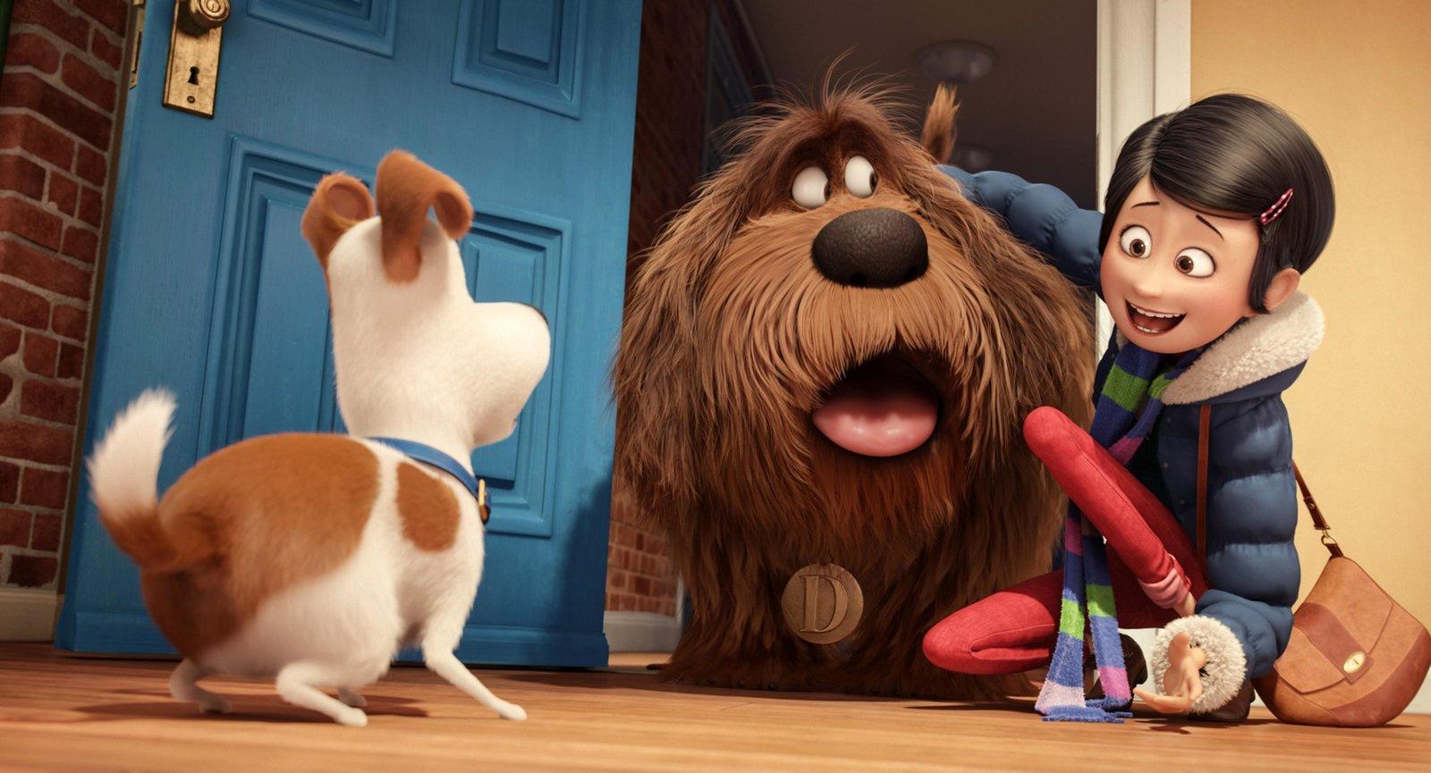 Produktbild Pets Doppelpack: Pets 1&Pets 2 [2 DVDs] 9 von 11