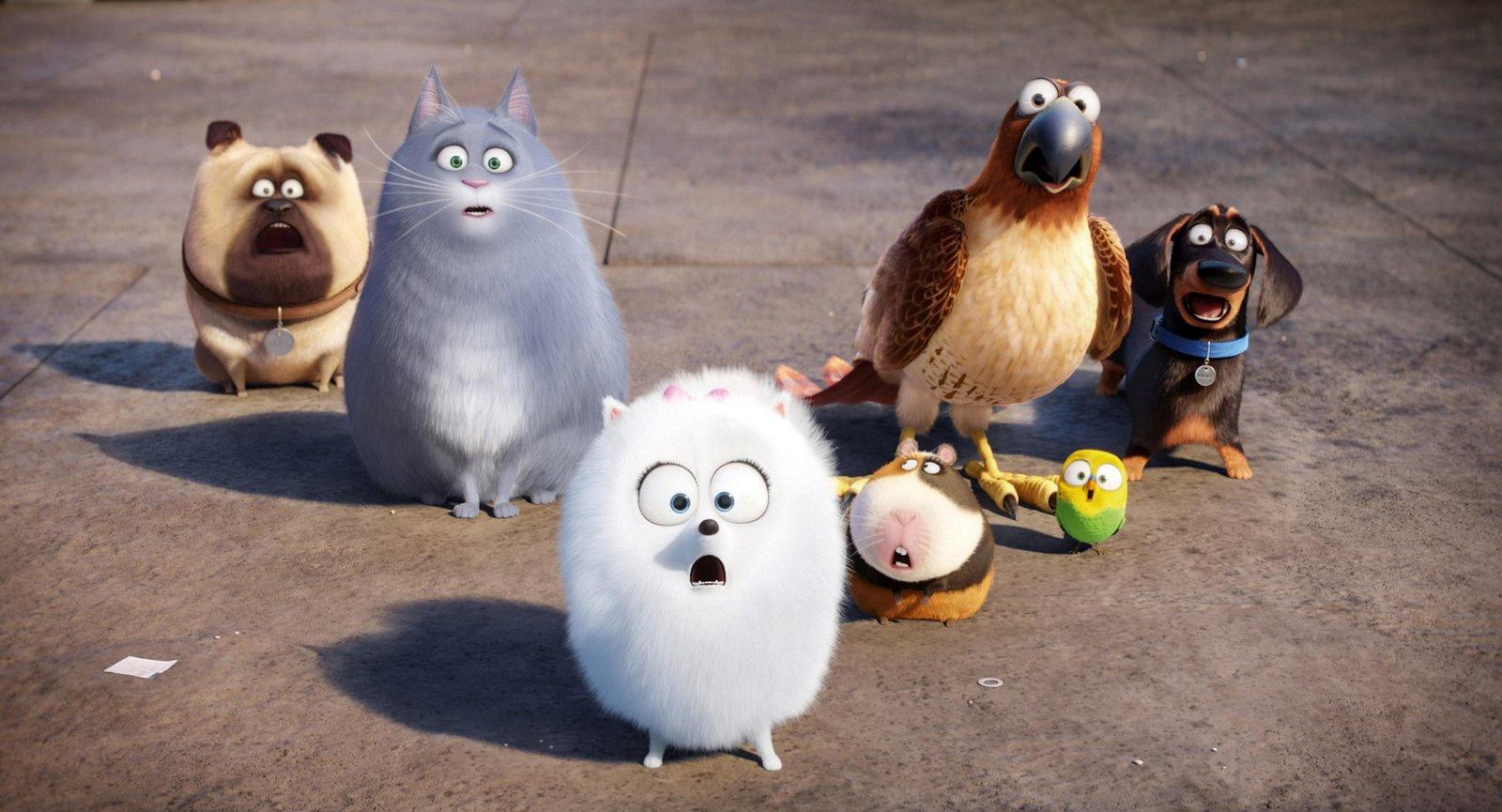 Produktbild Pets Doppelpack: Pets 1&Pets 2 [2 DVDs] 11 von 11
