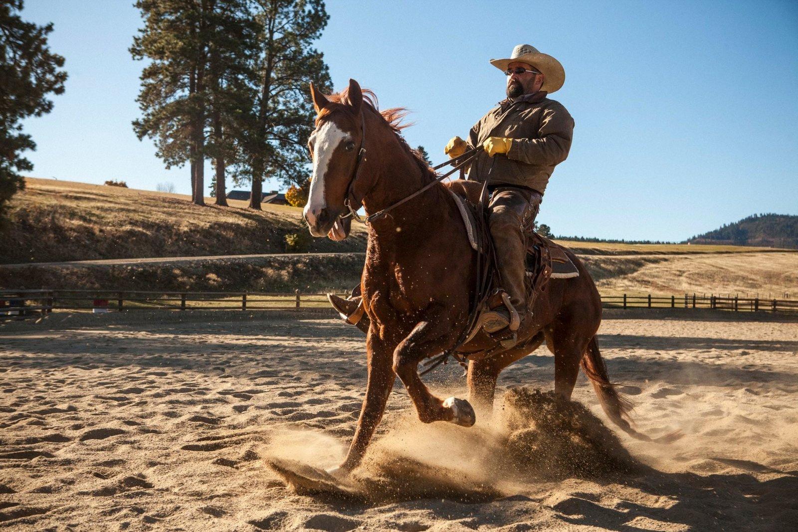 Produktbild Yellowstone - Staffel 1  (+ Bonus-DVD) [3 DVDs] 4 von 11