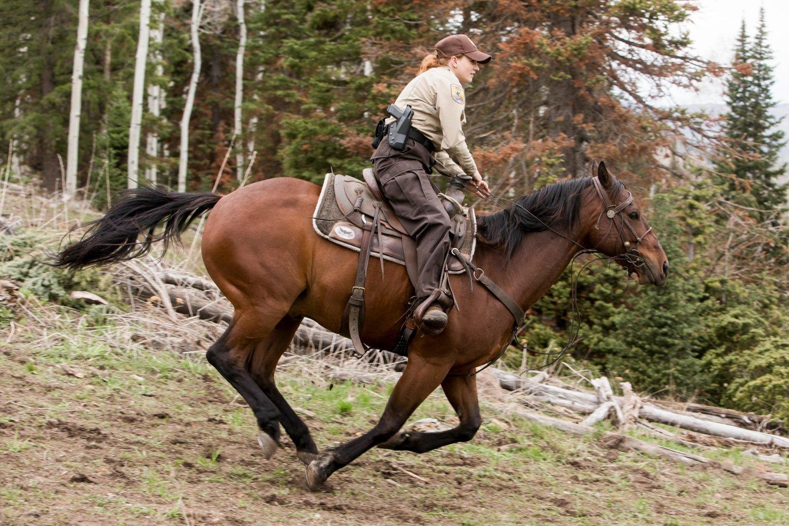 Produktbild Yellowstone - Staffel 1  (+ Bonus-DVD) [3 DVDs] 11 von 11