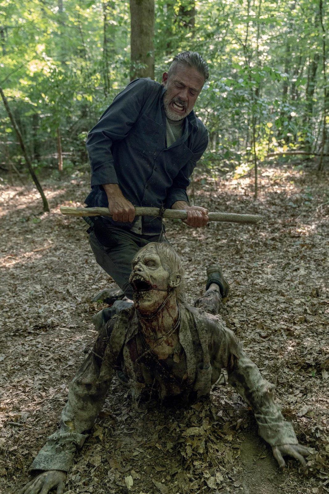 Produktbild The Walking Dead - Staffel 10  (uncut)  [6 DVDs] 5 von 11