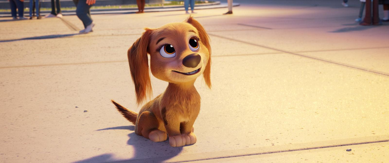 Produktbild Paw Patrol: Der Kinofilm 10 von 12