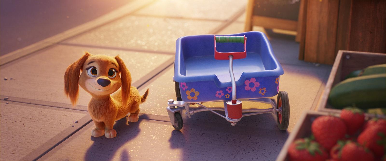 Produktbild Paw Patrol: Der Kinofilm 11 von 12