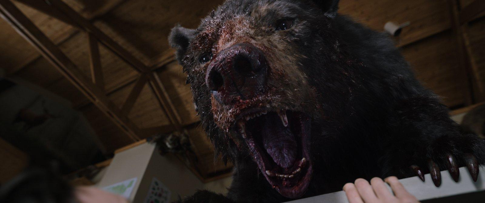 Produktbild Cocaine Bear 7 von 9