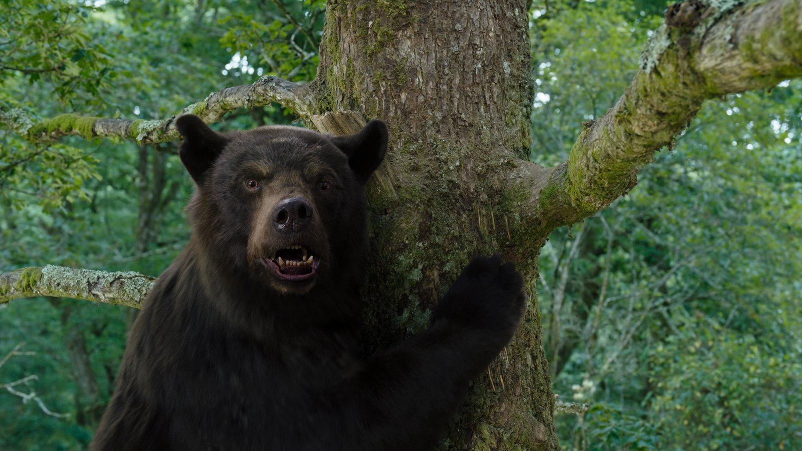 Produktbild Cocaine Bear 8 von 9