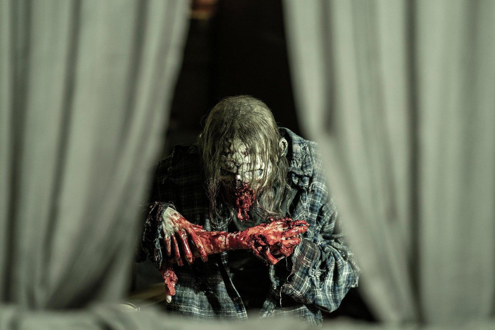 Produktbild The Walking Dead - Staffel 11  [6 DVDs] 10 von 11