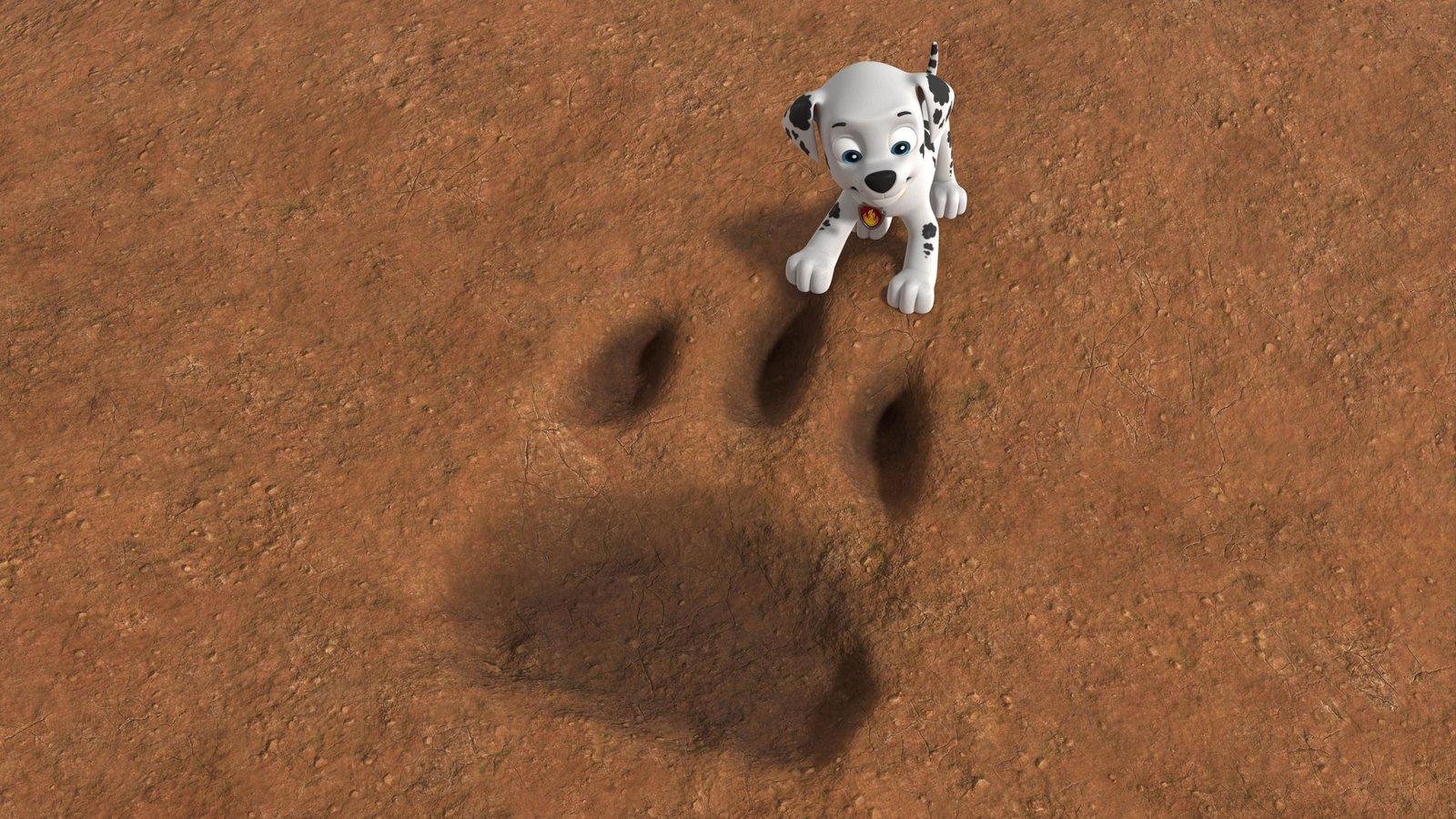 Produktbild PAW Patrol: Jungle Pups 7 von 7