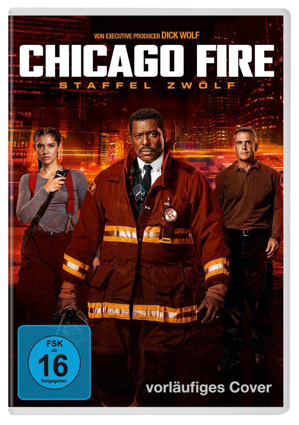 Chicago Fire - Staffel 12  [3 DVDs]