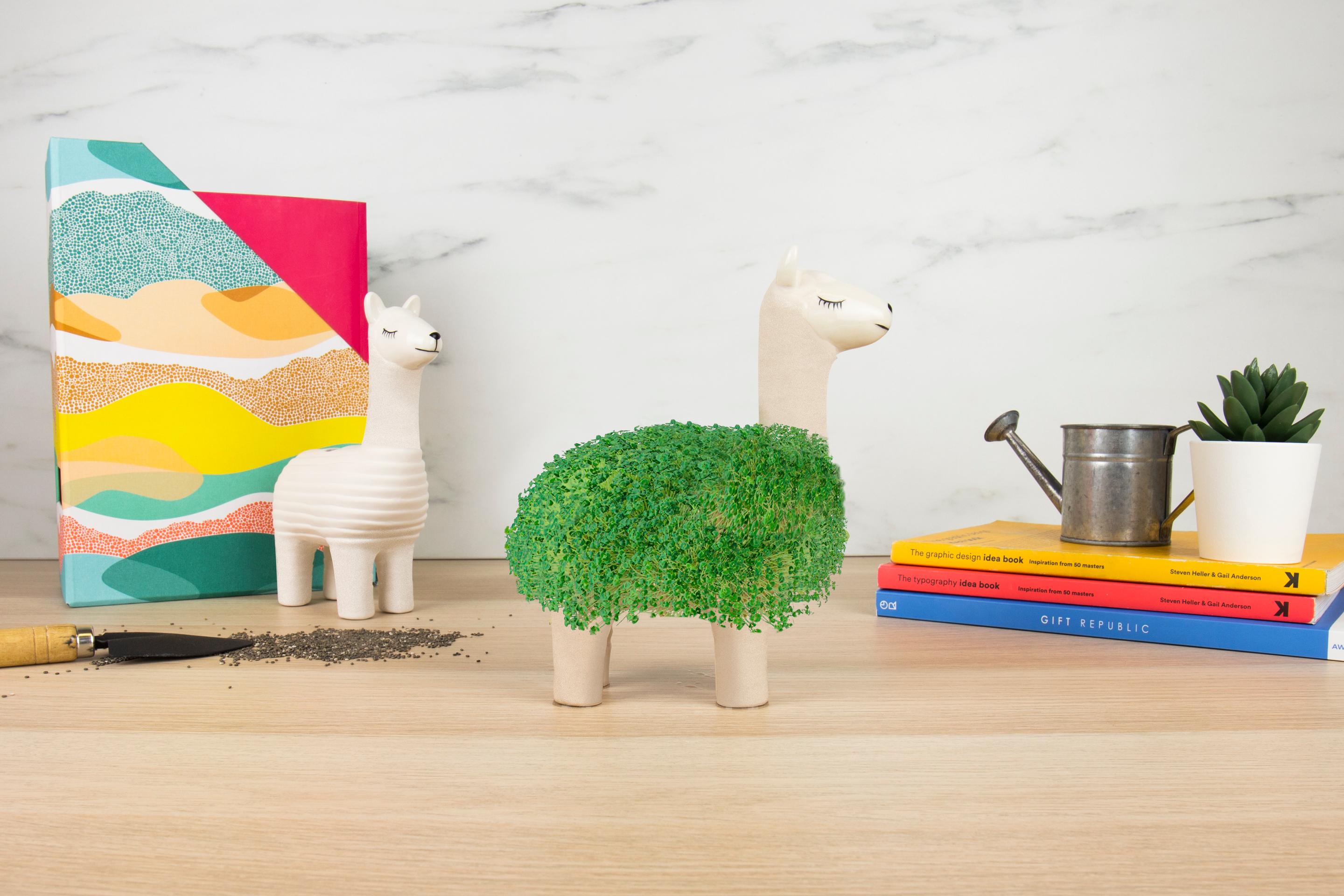 Produktbild Gift Republic Green Lama 2 von 2