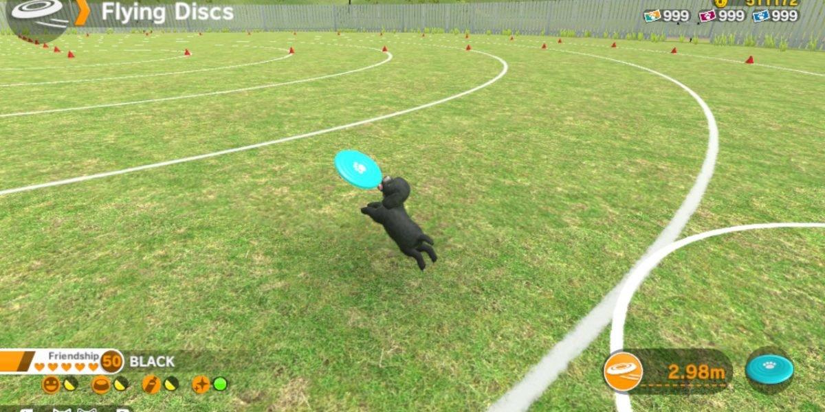 Produktbild Little Friends - Dogs&Cats 7 von 8