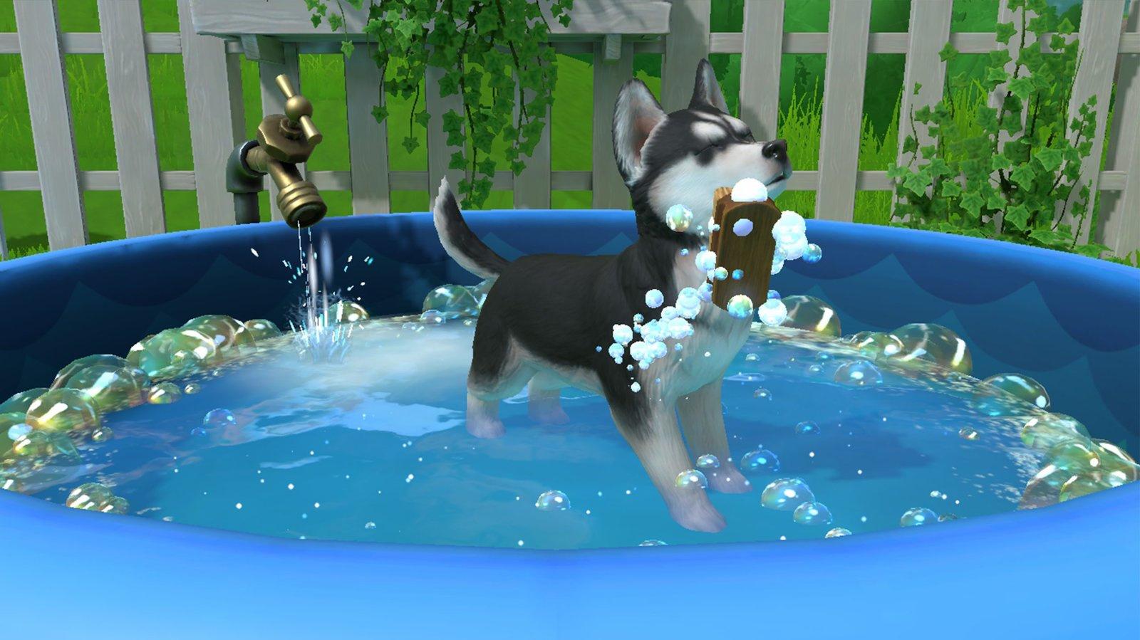 Produktbild Little Friends - Puppy Island: Die Insel der Welpen 7 von 10