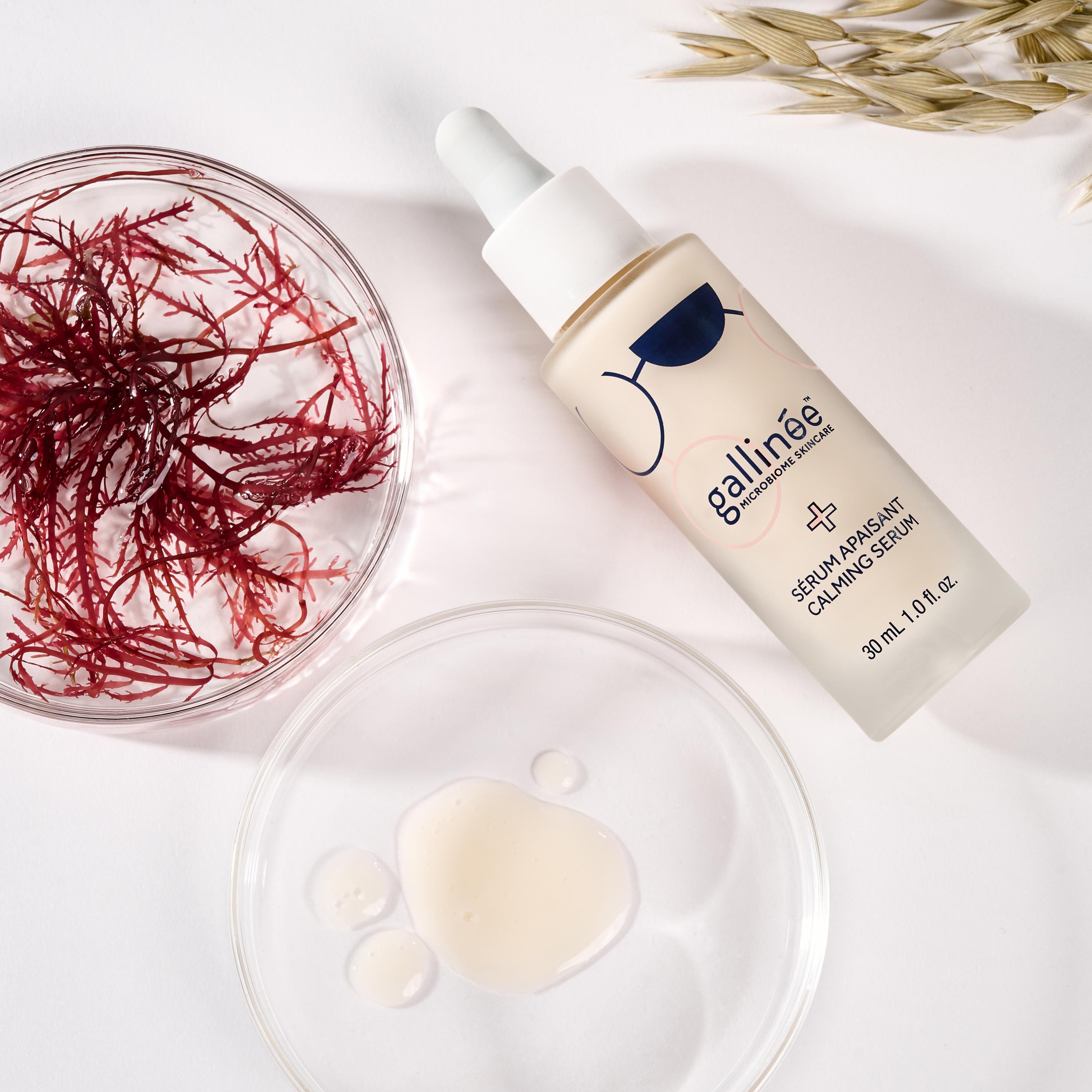 Produktbild gallinée Calming Serum 4 von 6