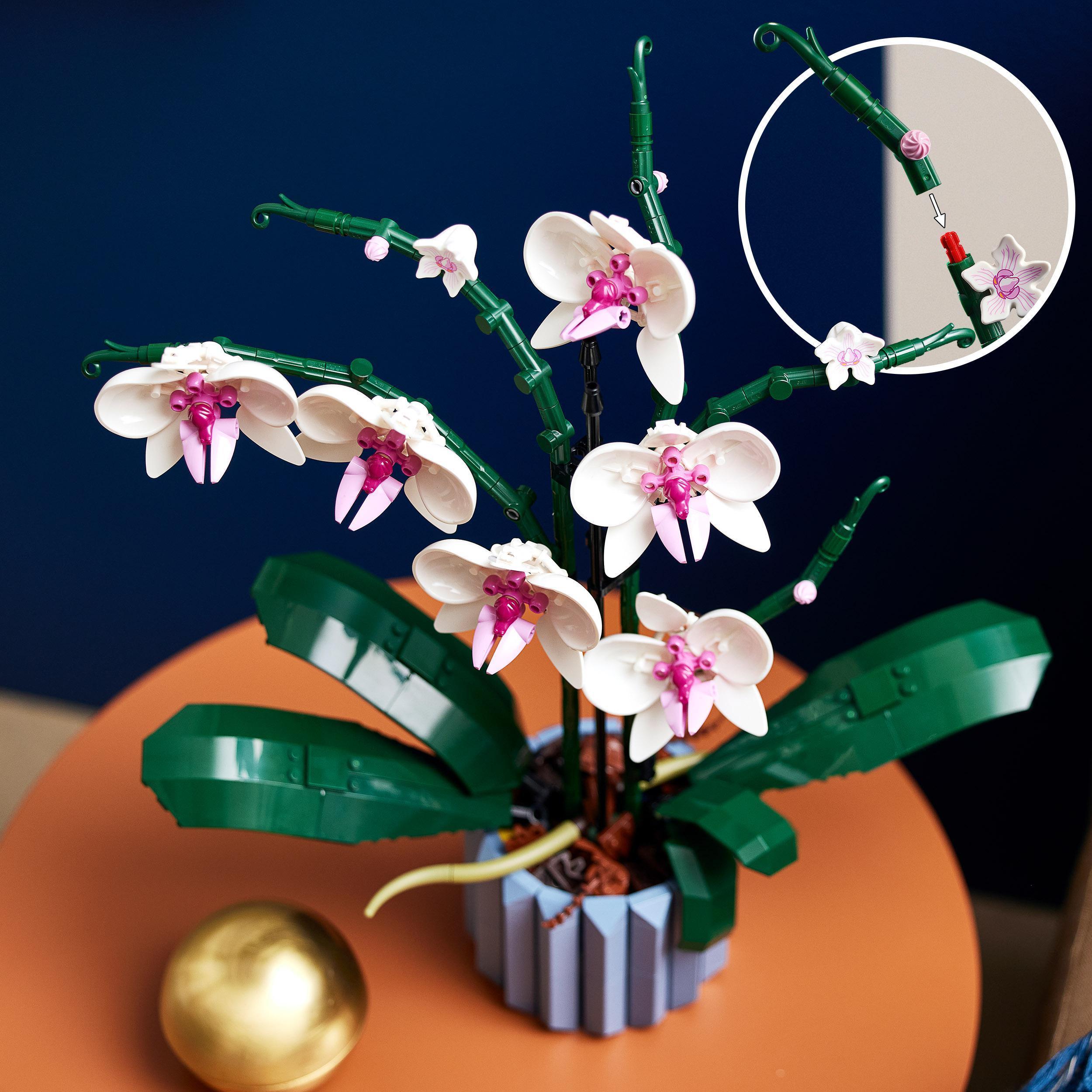 Produktbild LEGO Icons 10311 Orchidee, Set für Erwachsene mit künstlichen Pflanzen 4 von 7