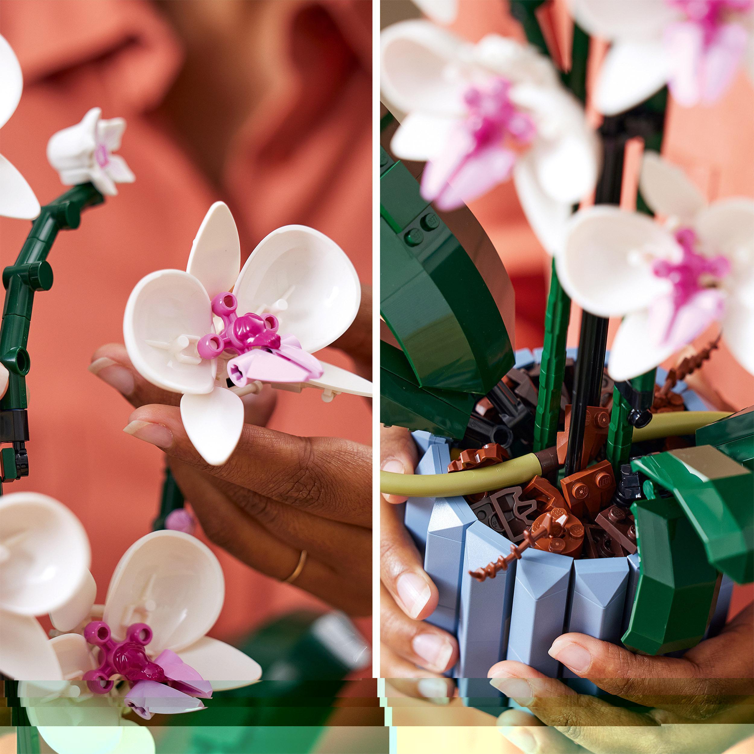 Produktbild LEGO Icons 10311 Orchidee, Set für Erwachsene mit künstlichen Pflanzen 5 von 7