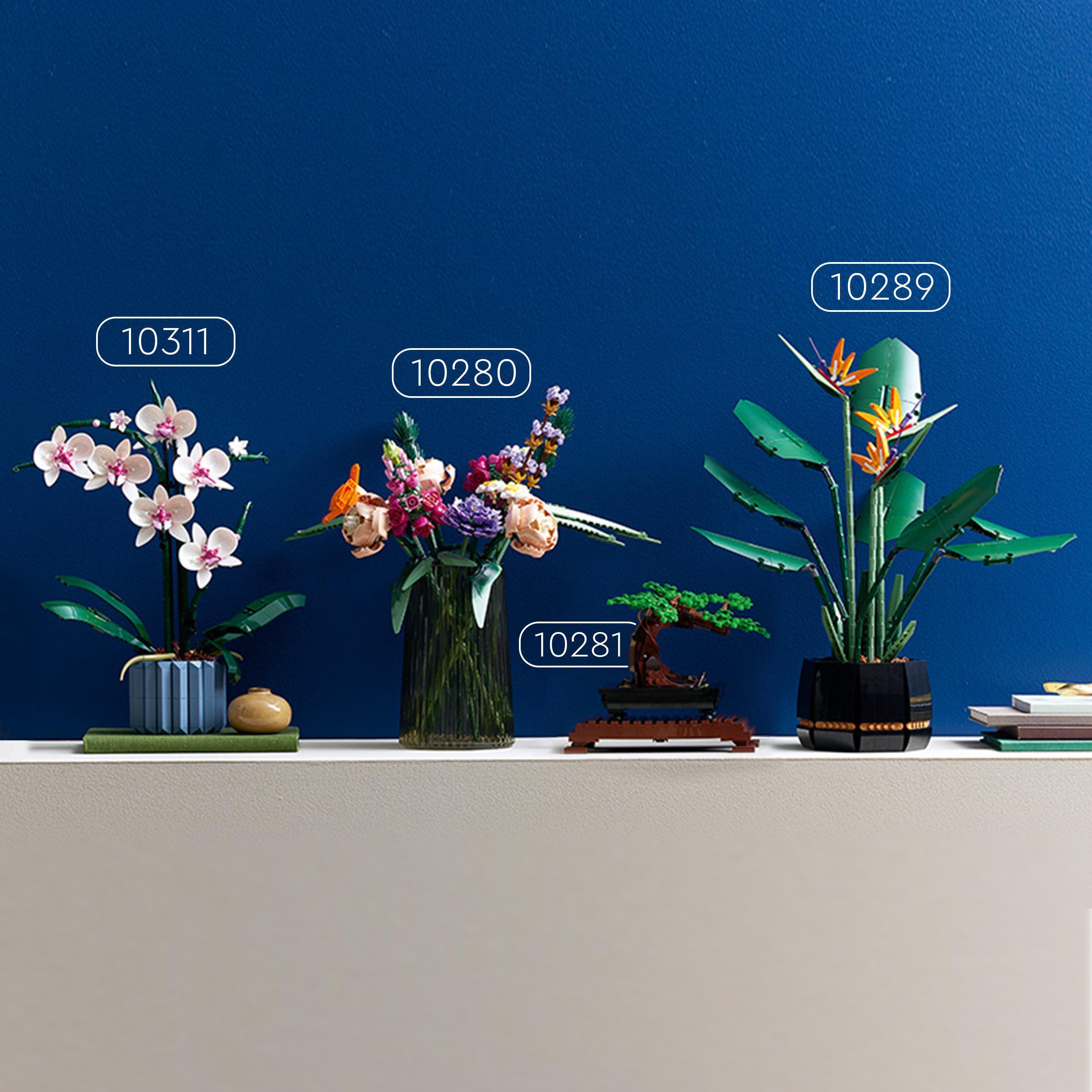 Produktbild LEGO Icons 10311 Orchidee, Set für Erwachsene mit künstlichen Pflanzen 6 von 7