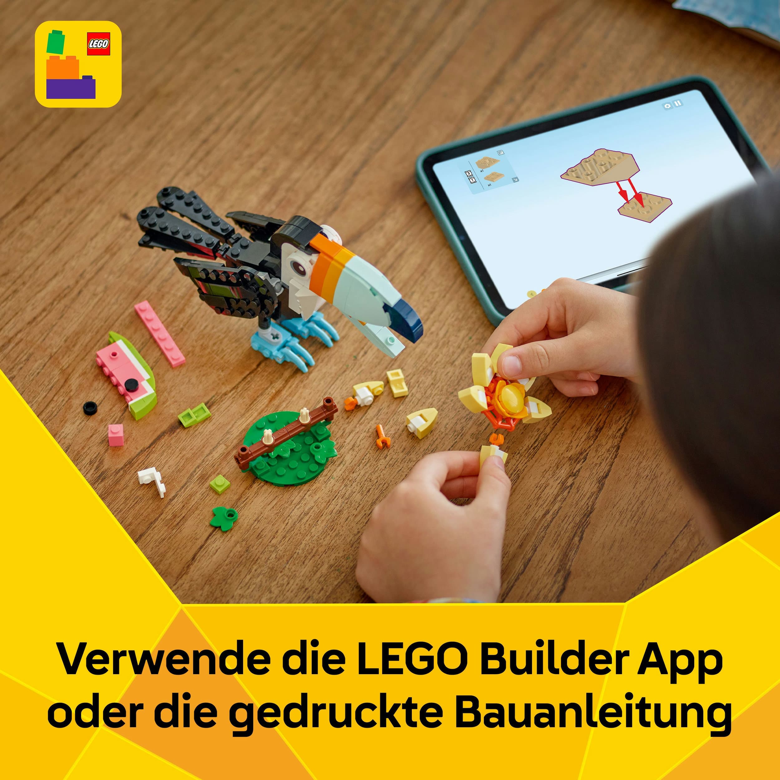 Produktbild LEGO Creator Wilde Tiere: Tropischer Tukan 31173, 3-in-1 Spielzeug 3 von 8