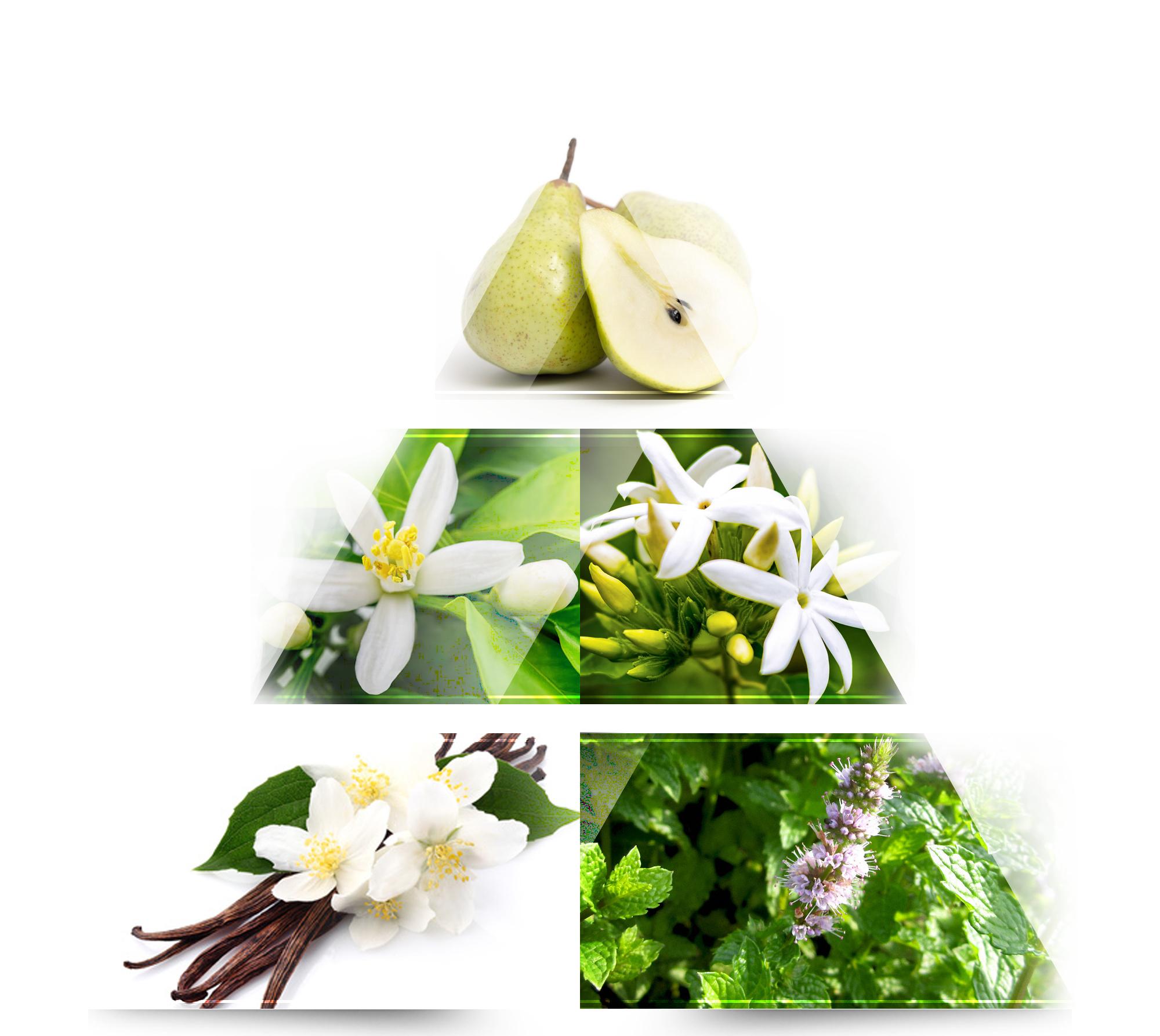 Produktbild LA RIVE Metaphor Eau de Parfum 5 von 9