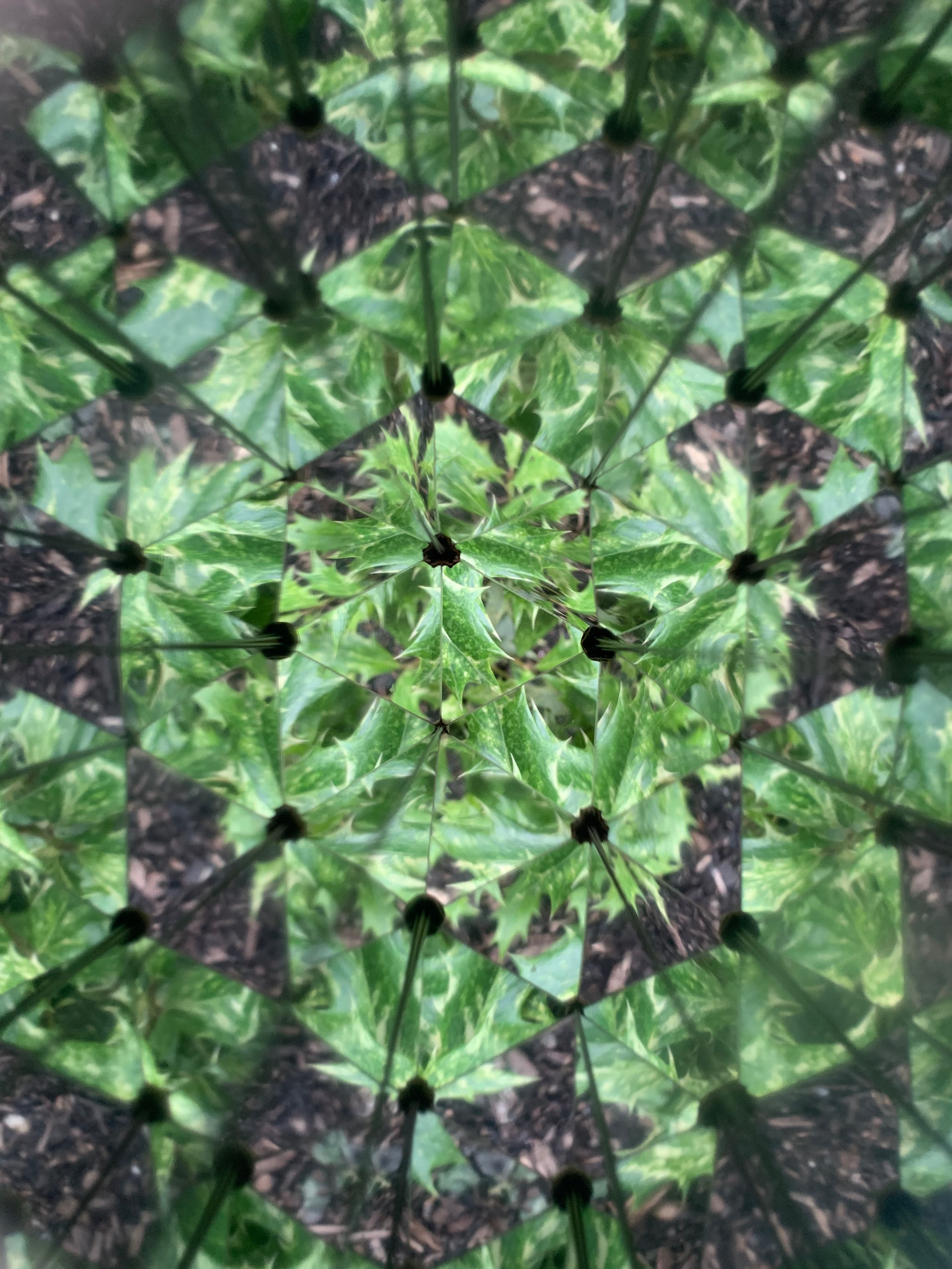 Produktbild Kikkerland Huckleberry Kaleidoskop 11 von 11