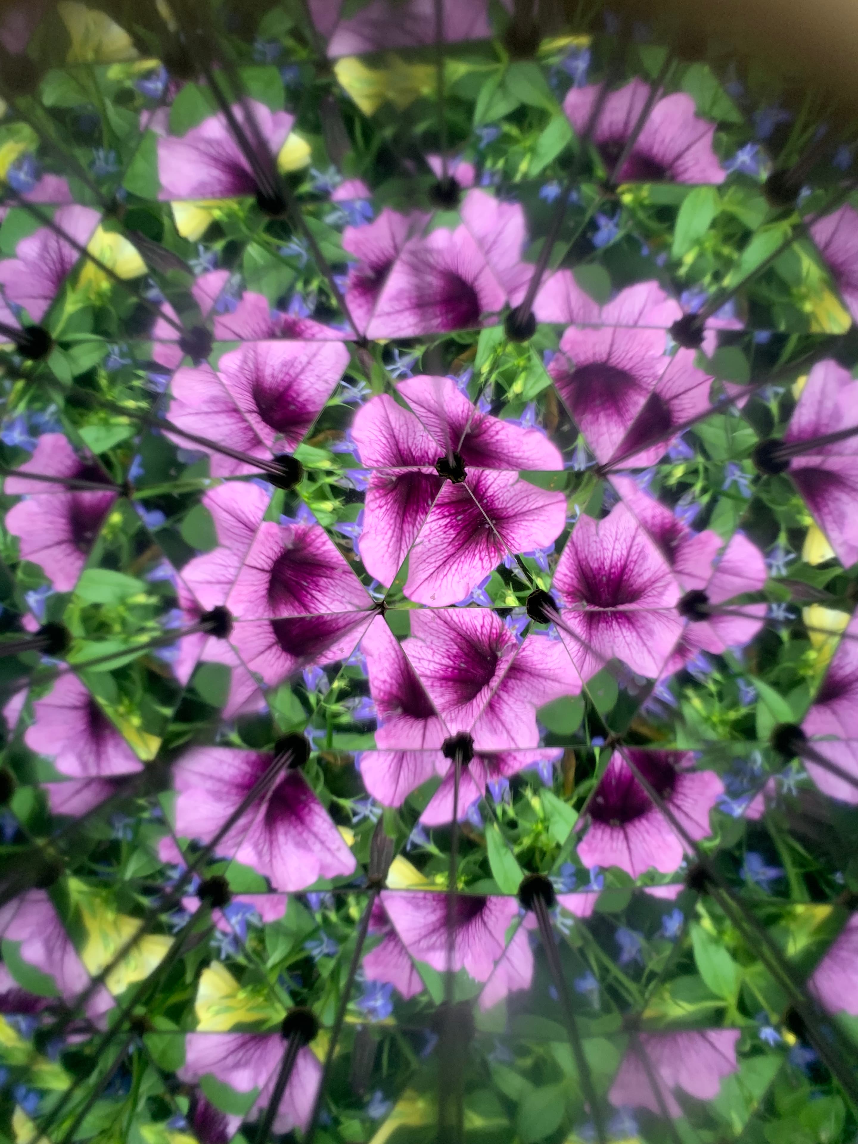 Produktbild Kikkerland Huckleberry Kaleidoskop 10 von 11