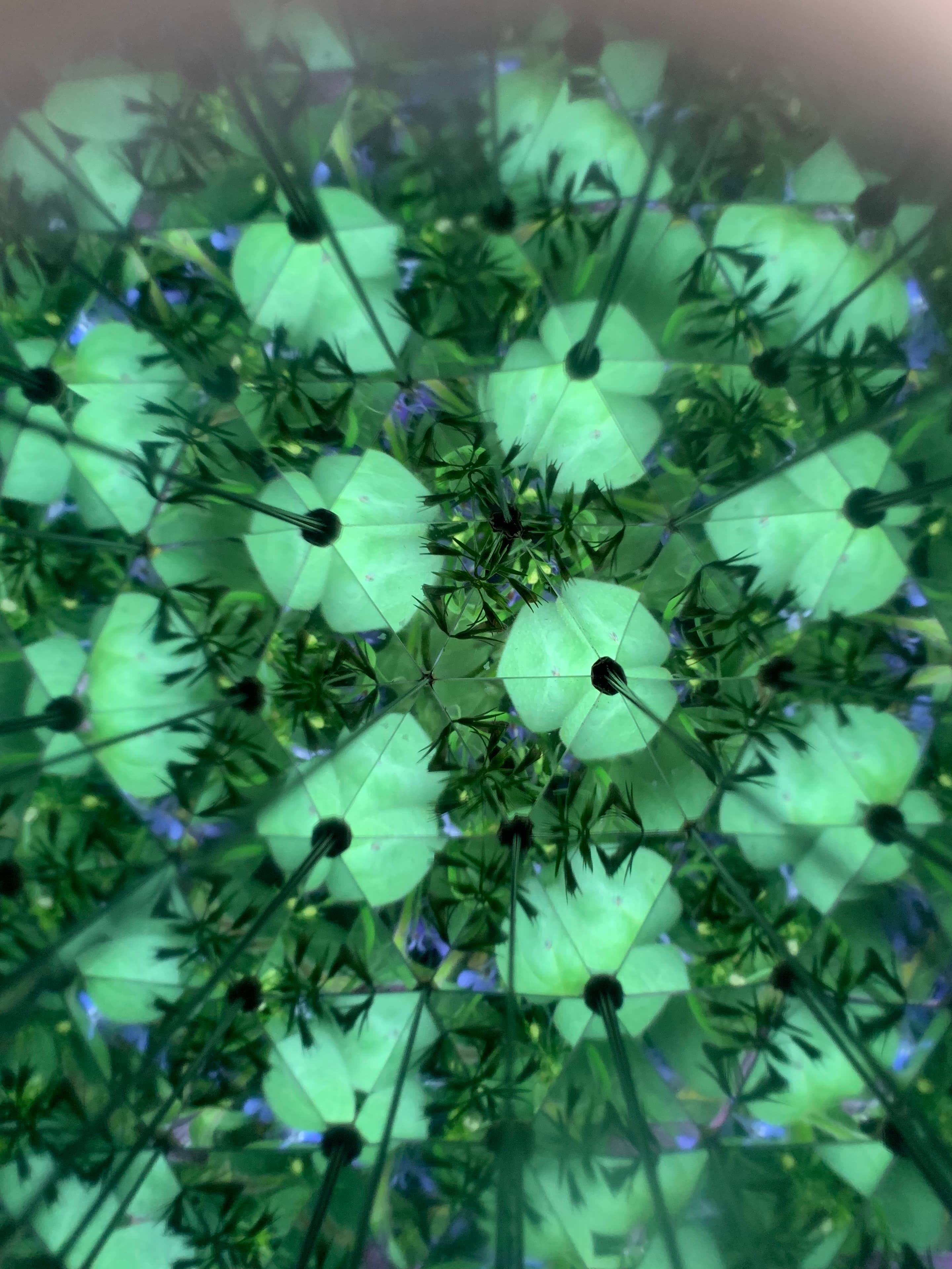 Produktbild Kikkerland Huckleberry Kaleidoskop 9 von 11