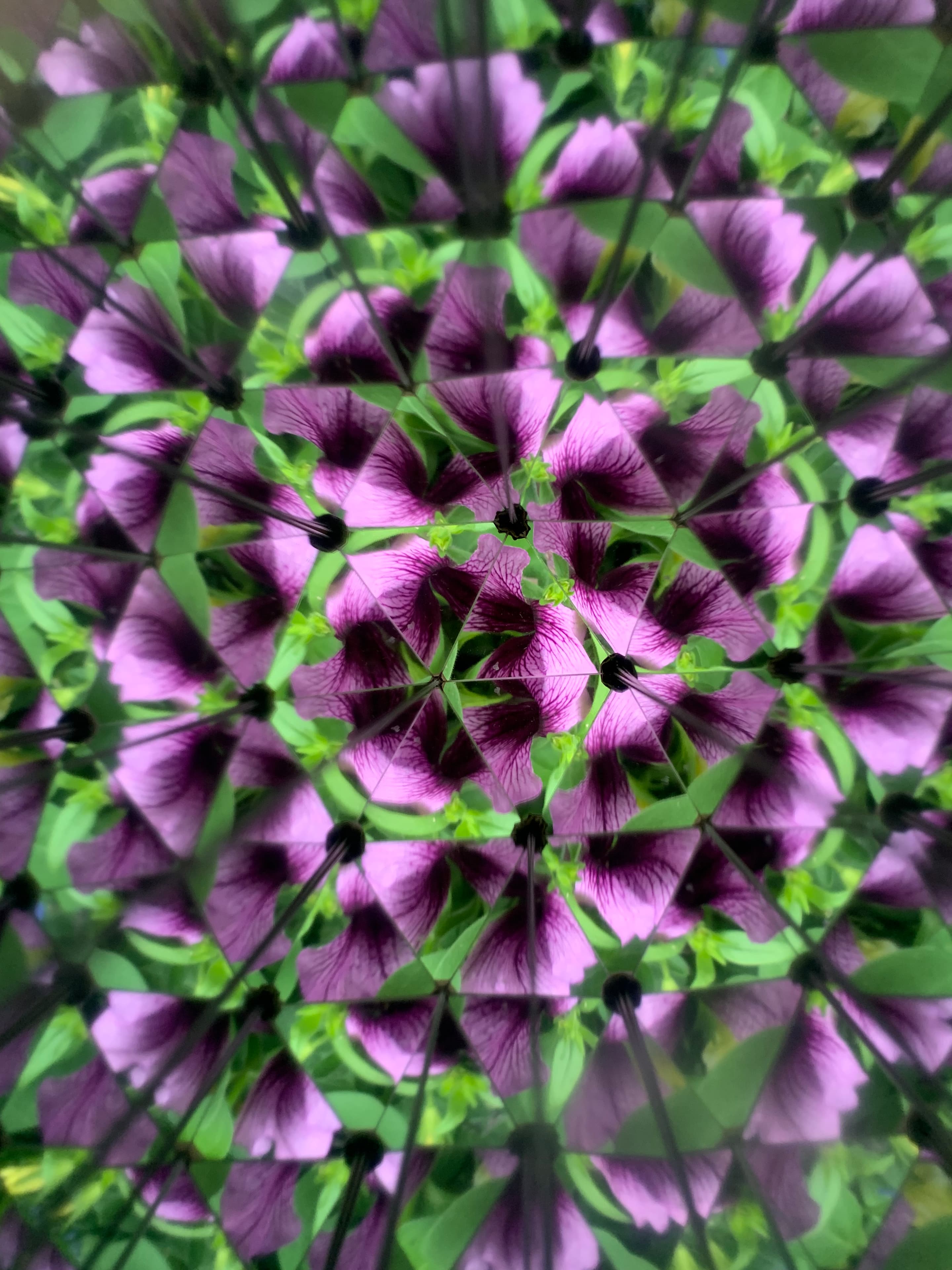 Produktbild Kikkerland Huckleberry Kaleidoskop 8 von 11