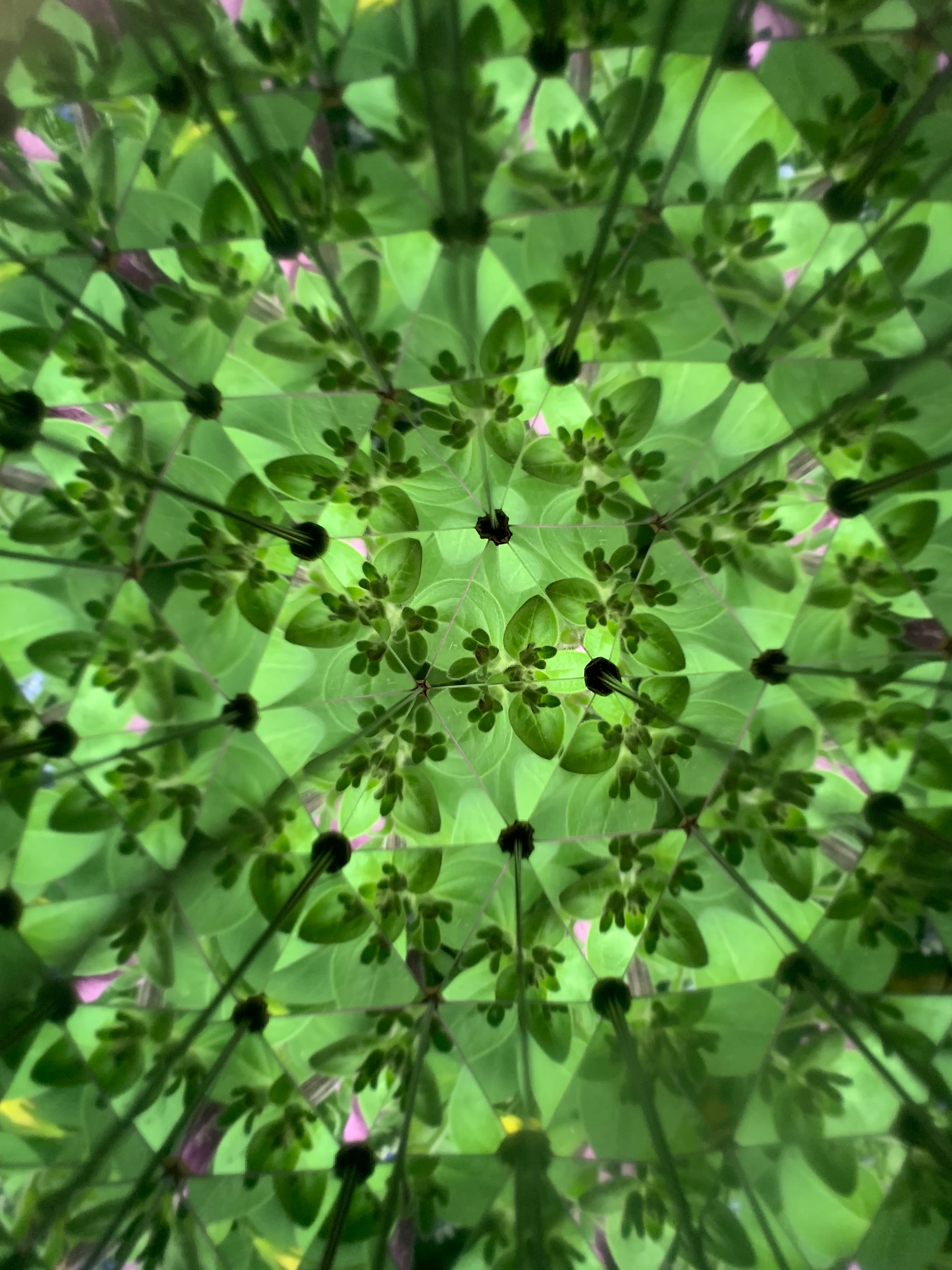 Produktbild Kikkerland Huckleberry Kaleidoskop 7 von 11