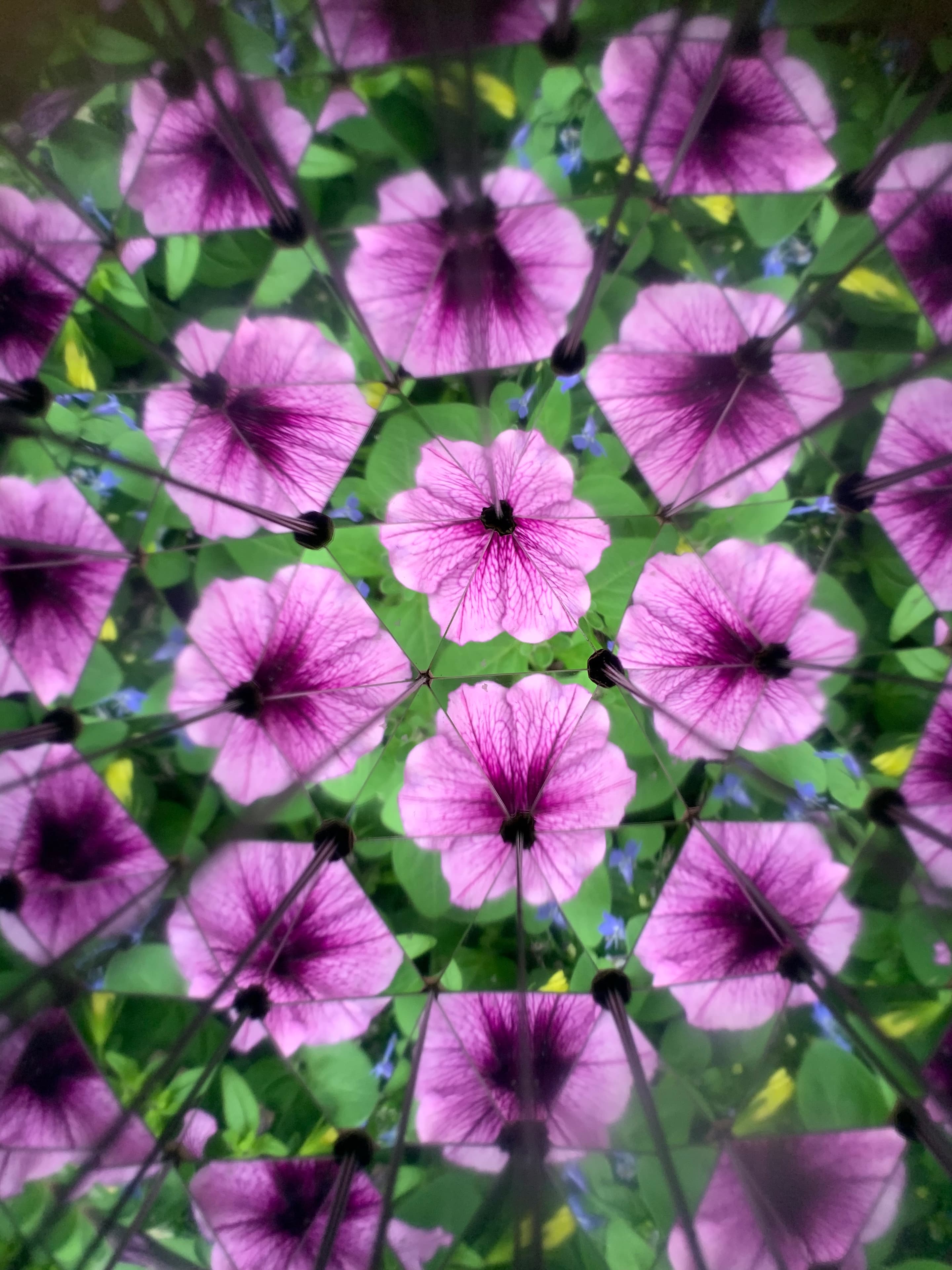 Produktbild Kikkerland Huckleberry Kaleidoskop 6 von 11