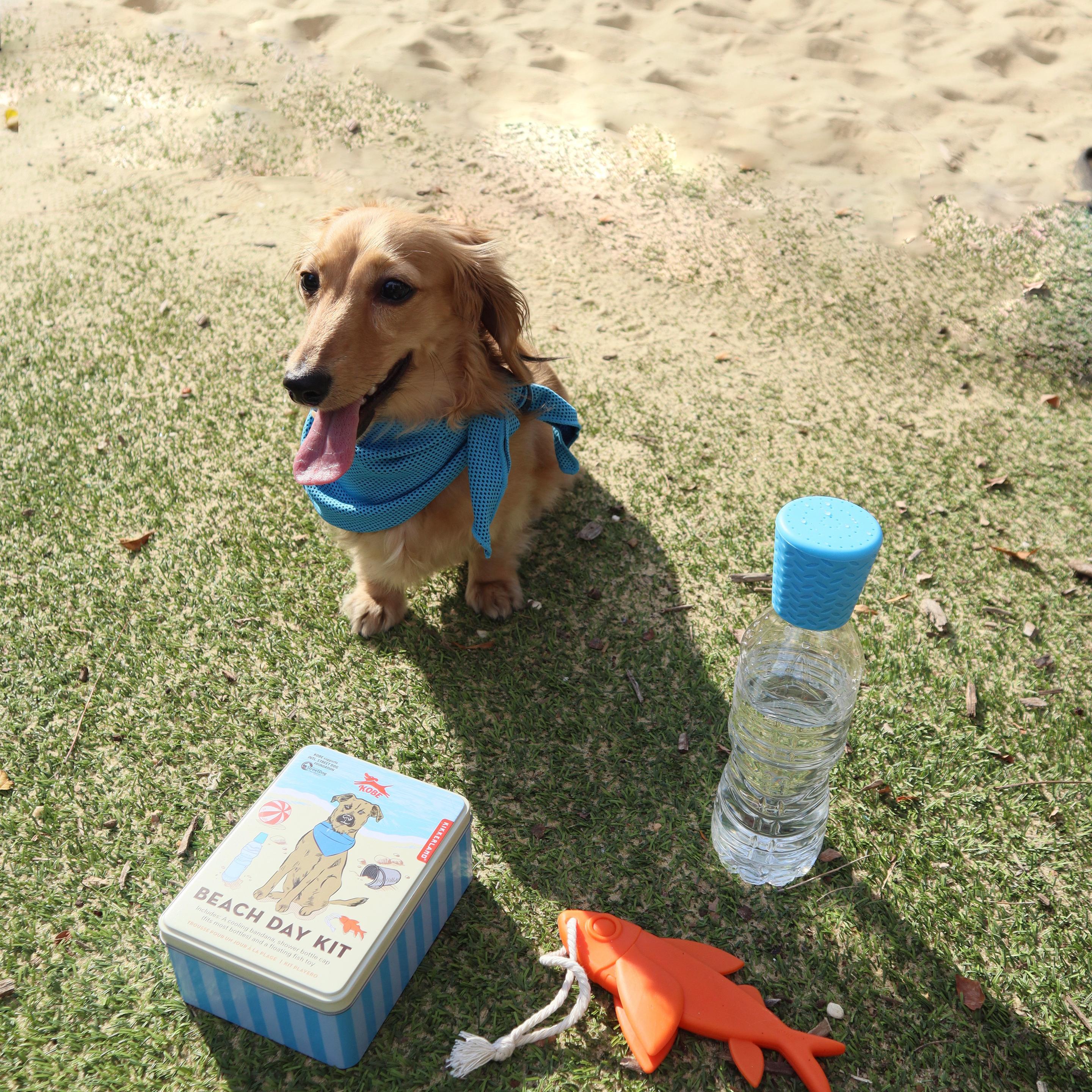 Produktbild Kikkerland Hundehygiene Beach Day Kit 3 von 5