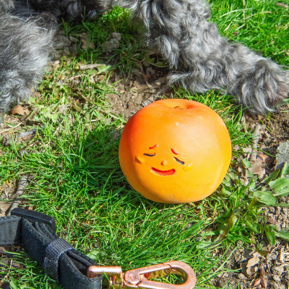 Kikkerland Kobe Hundespielzeug Peach