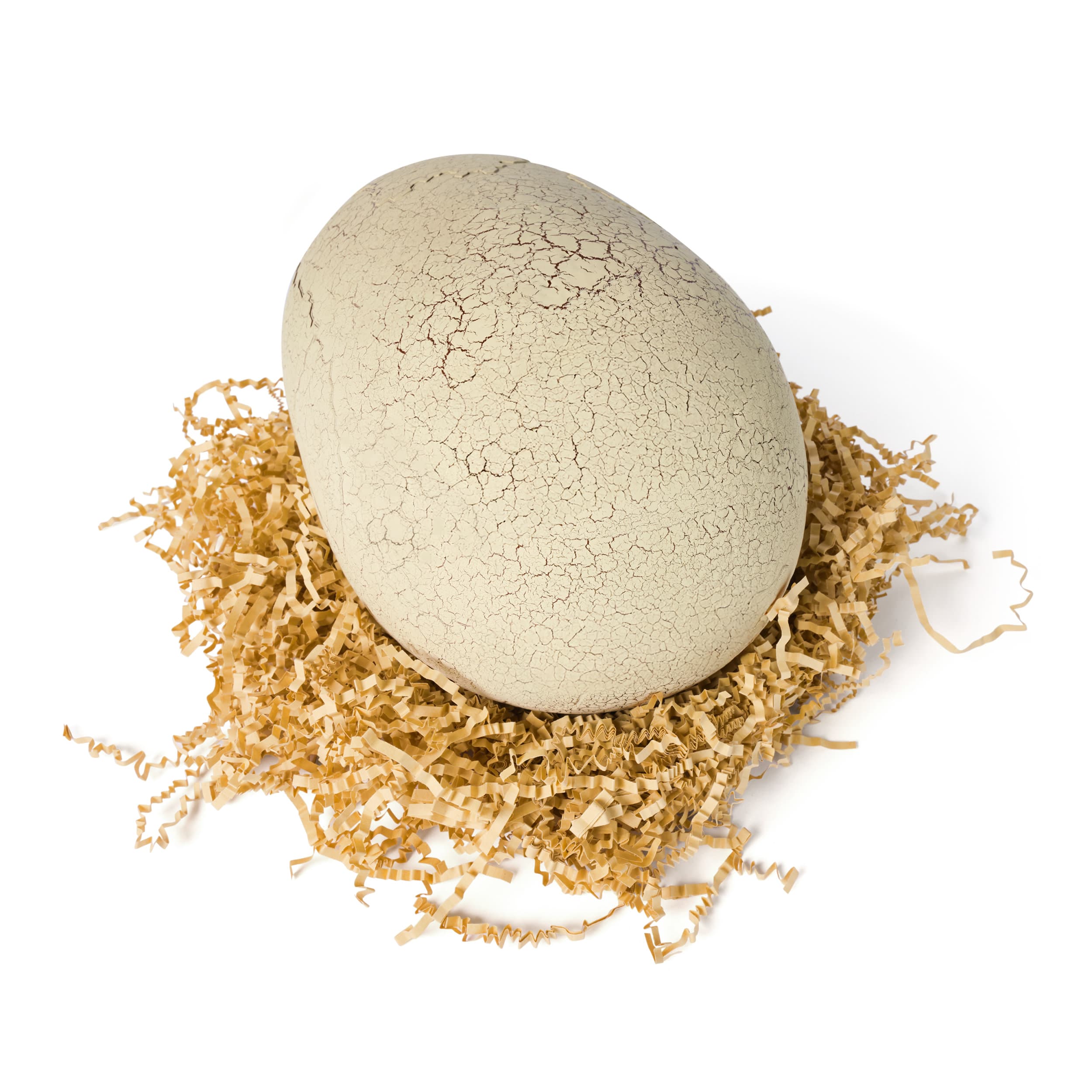Produktbild Primal Hatch - Interaktiver T-Rex im Ei mit Sound-, und Lichteffekten, Trainings-, und Spielfunktionen 8 von 10