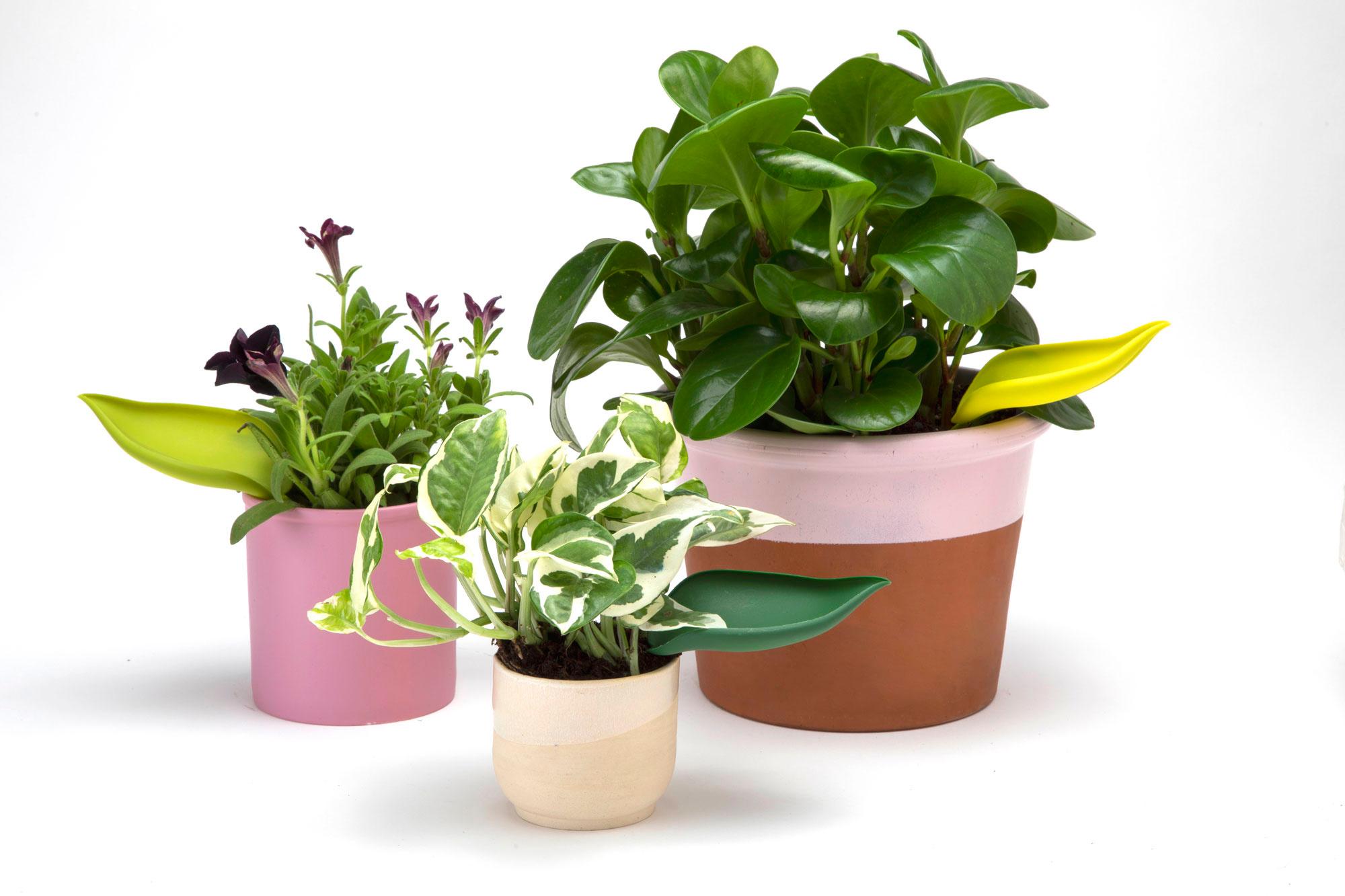 Produktbild Peleg Bewässerungshilfe Leaflow 3 von 4