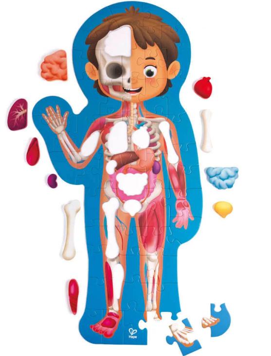 Hape Puzzle'Mein Körper E1635, 60 Teile